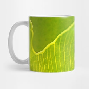 Textured Green Leaf Mug